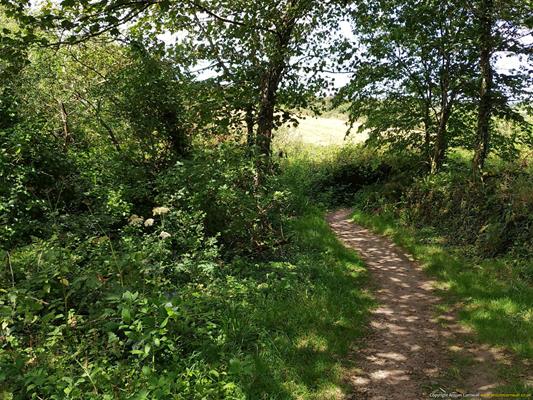 Madron Holy Well Thumbnail Photo 13