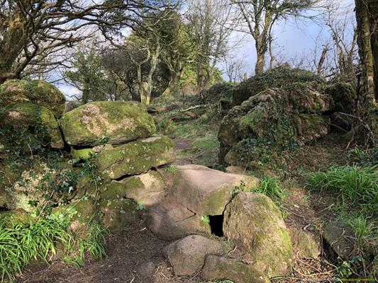 Madron Holy Well Thumbnail Photo 14