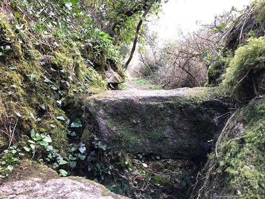 Madron Holy Well Thumbnail Photo 15