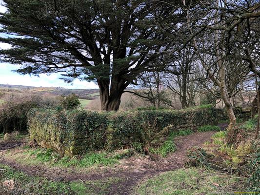 Madron Holy Well Thumbnail Photo 16