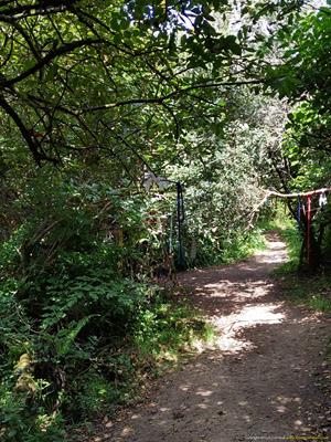 Madron Holy Well Thumbnail Photo 19