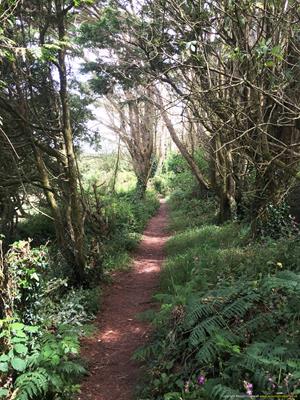 Madron Holy Well Thumbnail Photo 21