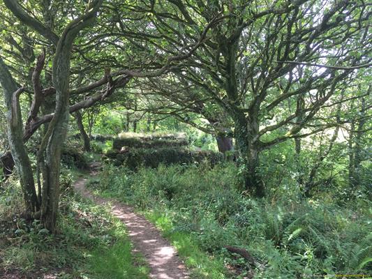 Madron Holy Well Thumbnail Photo 23