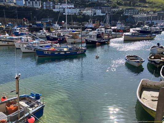 Mevagissey Thumbnail Photo 16
