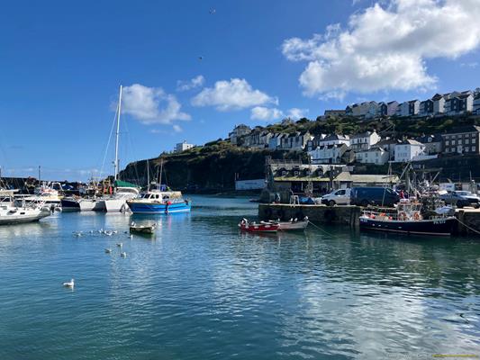 Mevagissey Thumbnail Photo 18