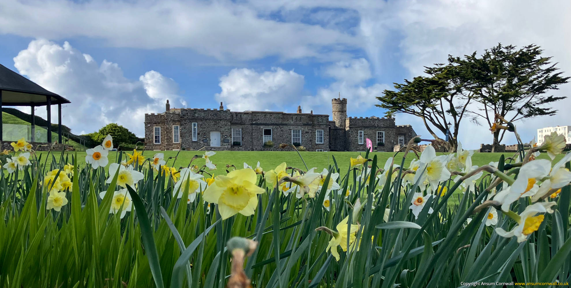 The Castle Bude