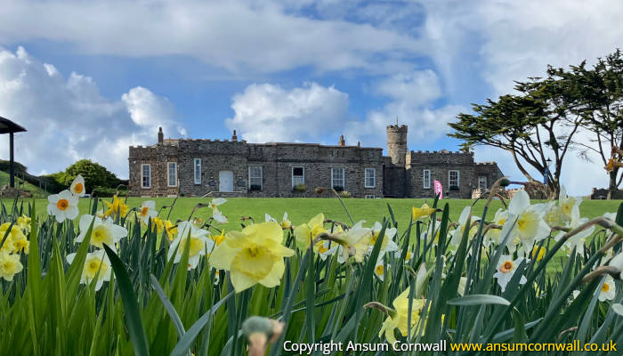 The Castle Bude