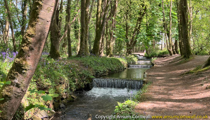 Tehidy Country Park