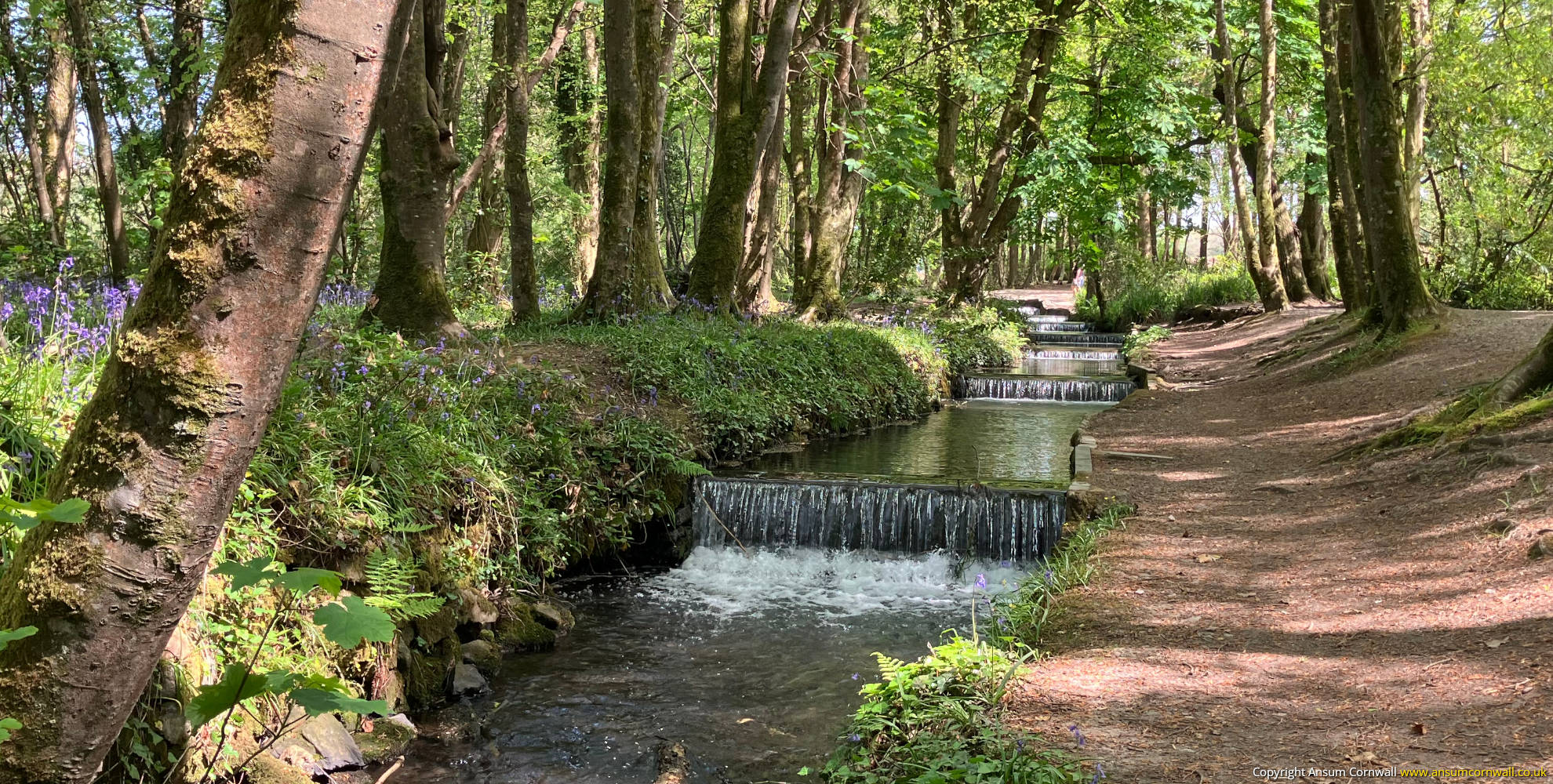 Tehidy Country Park