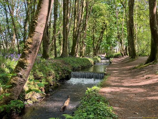 Tehidy Country Park Thumbnail Photo 1