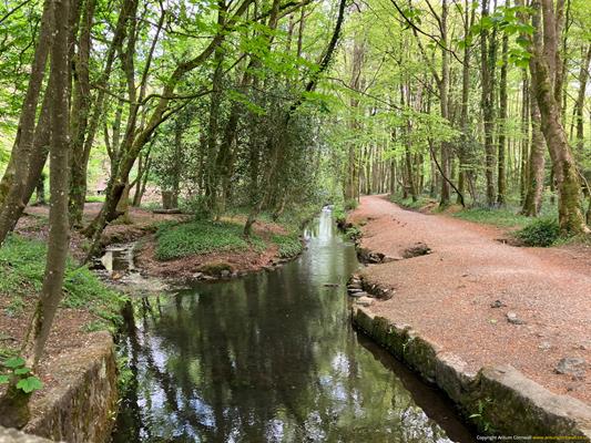 Tehidy Country Park Thumbnail Photo 2