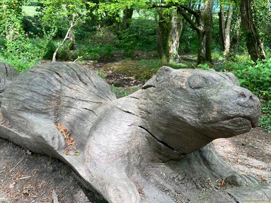 Tehidy Country Park Thumbnail Photo 4
