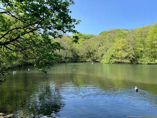 Tehidy Country Park Thumbnail Photo 7