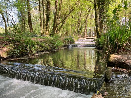 Tehidy Country Park Thumbnail Photo 9