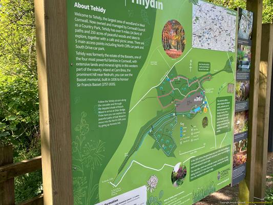 Tehidy Country Park Thumbnail Photo 10