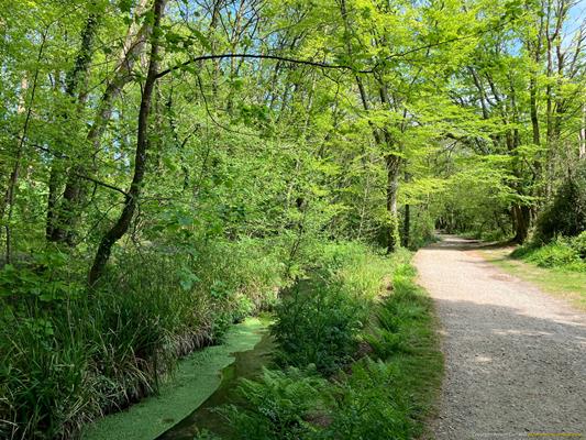Tehidy Country Park Thumbnail Photo 13