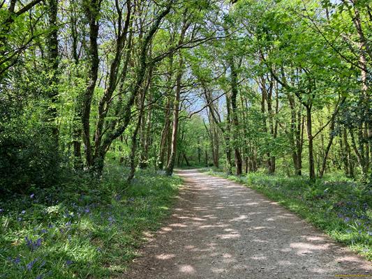 Tehidy Country Park Thumbnail Photo 15