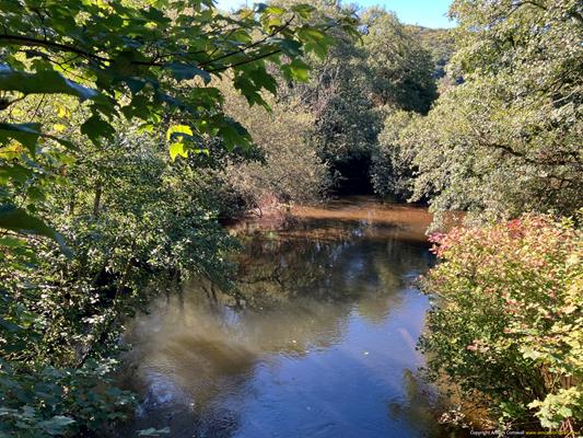 Grogley Halt Thumbnail Photo 6