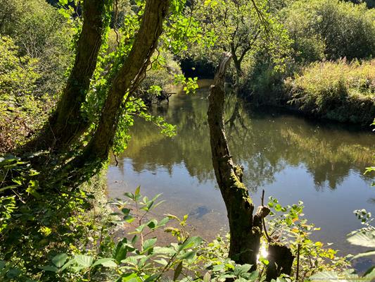 Grogley Halt Thumbnail Photo 7