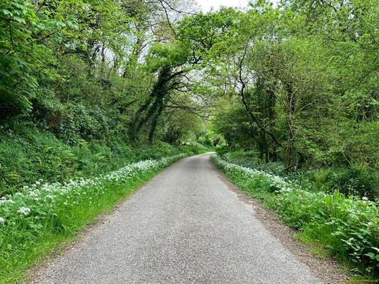 Grogley Halt Thumbnail Photo 10