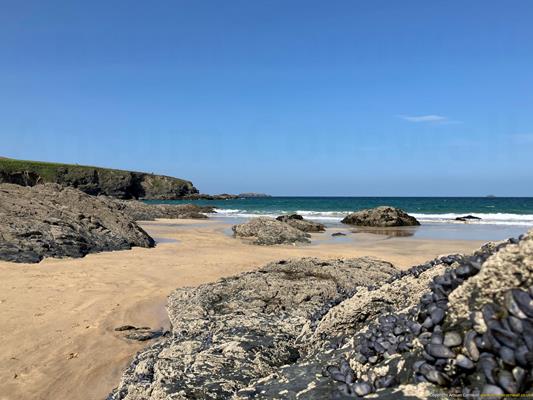 Harlyn Bay Thumbnail Photo 18